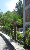 P1010884.jpg
