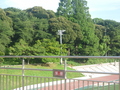 P1010922.JPG