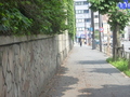 2010_06110014.JPG