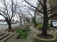 DSC06204.jpg