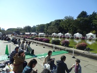 DSC06417.jpg